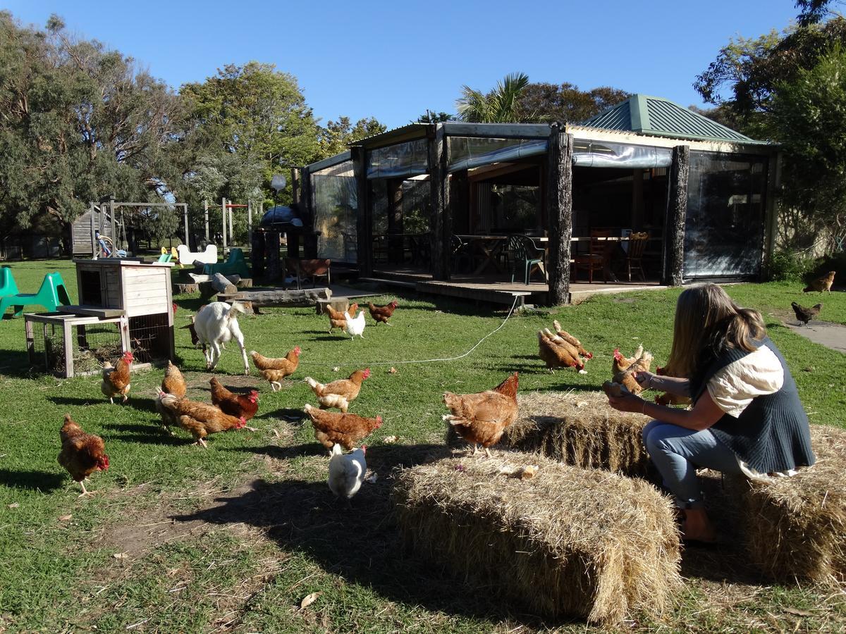 Ripples N Tonic Farmstay Ventnor ภายนอก รูปภาพ