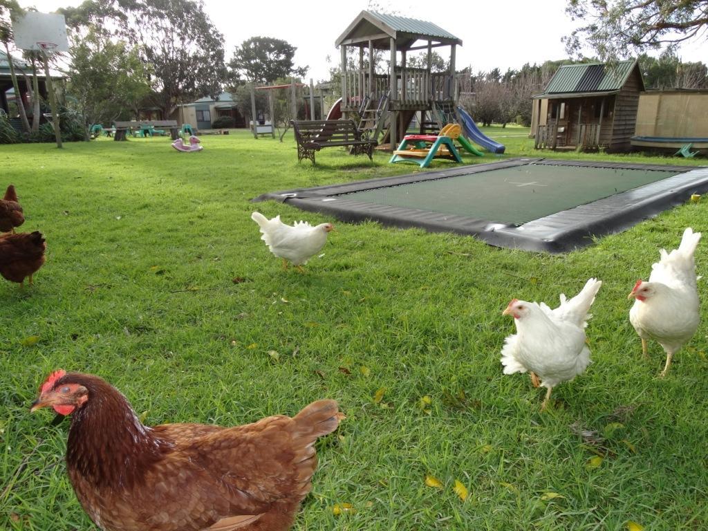 Ripples N Tonic Farmstay Ventnor ภายนอก รูปภาพ
